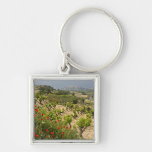 Vineyards near Laguardia, capital of La Rioja Key Ring