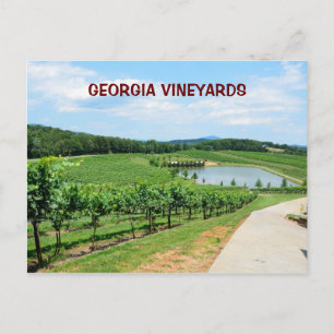 Vineyards of Georgia, USA Postcard