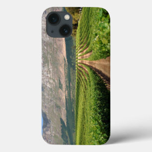 Vineyards Of Groot Constantia Wine Estate iPhone 13 Case