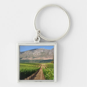 Vineyards Of Groot Constantia Wine Estate Key Ring
