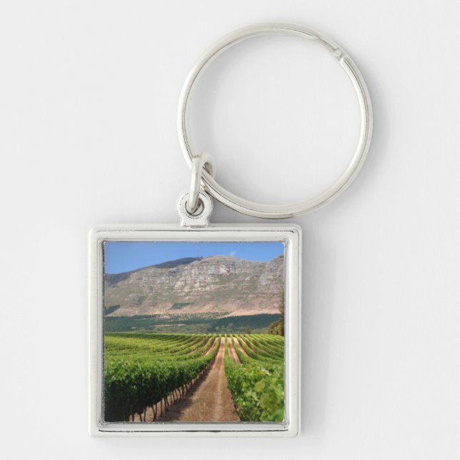 Vineyards Of Groot Constantia Wine Estate Key Ring (Front)