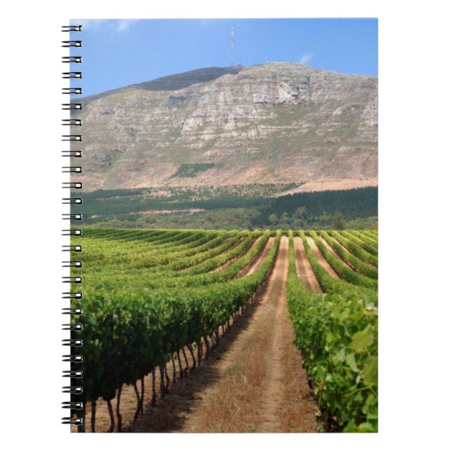 Vineyards Of Groot Constantia Wine Estate Notebook (Front)