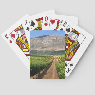Vineyards Of Groot Constantia Wine Estate Playing Cards