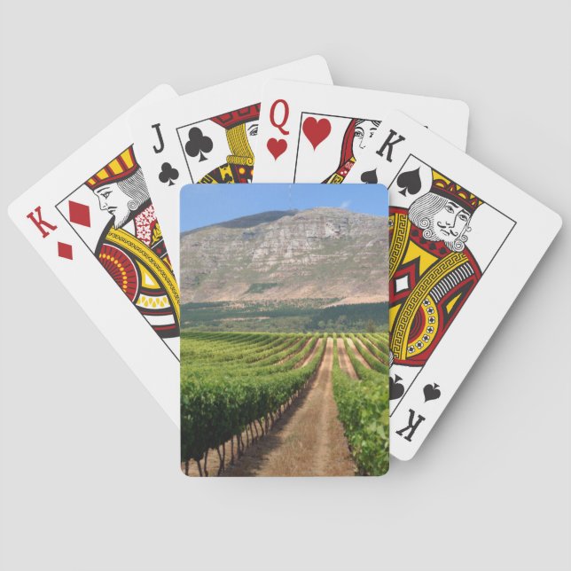 Vineyards Of Groot Constantia Wine Estate Playing Cards (Back)