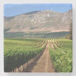 Vineyards Of Groot Constantia Wine Estate Stone Coaster