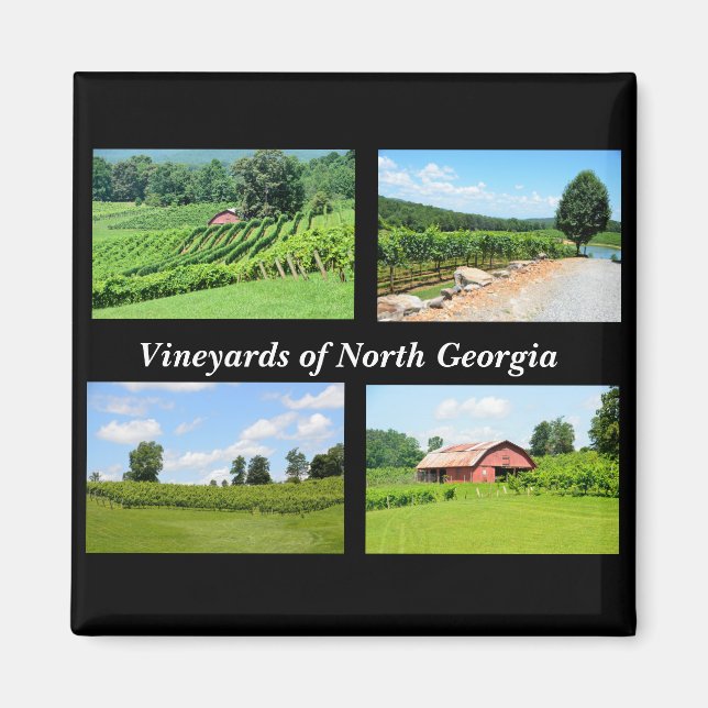 Vineyards of North Georgia wine country Magnet (Front)