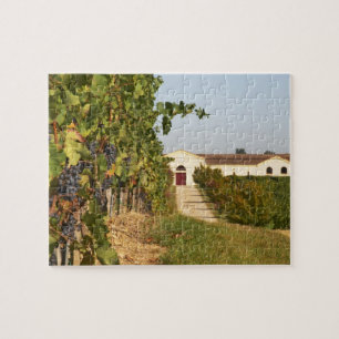 Vineyards, petit verdot vines and the winery in jigsaw puzzle