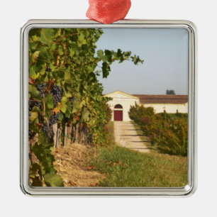 Vineyards, petit verdot vines and the winery in metal tree decoration