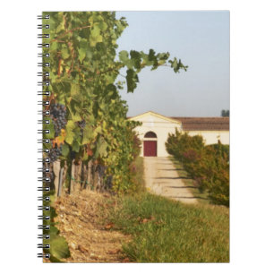 Vineyards, petit verdot vines and the winery in notebook
