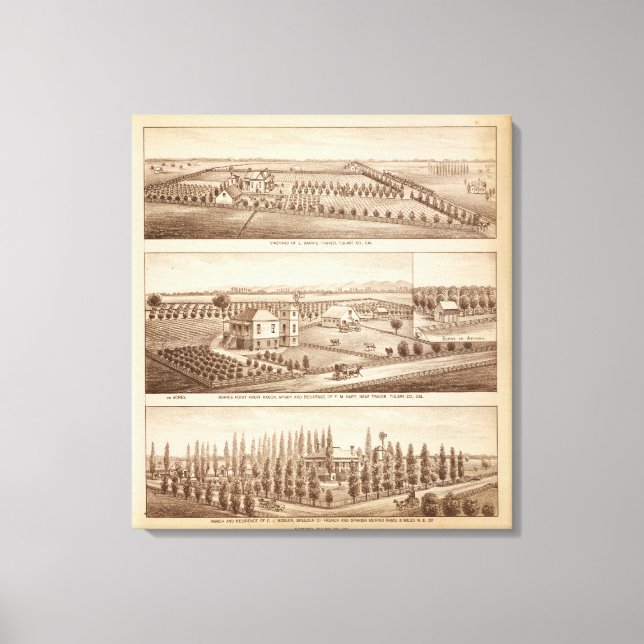Vineyards, ranches, Tulare Co, Calif Canvas Print (Front)