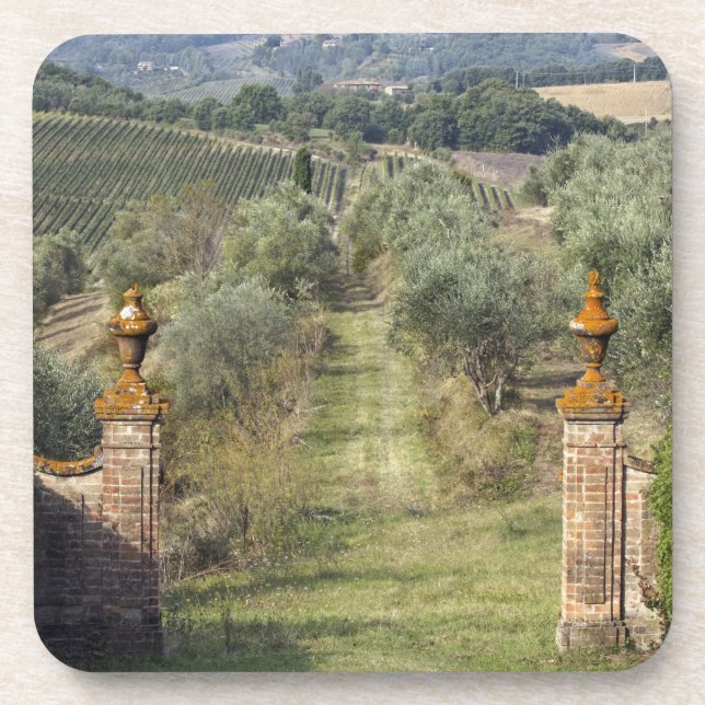 Vineyards, Tuscany, Italy Coaster (Front)