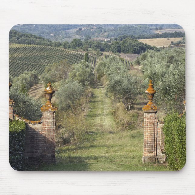 Vineyards, Tuscany, Italy Mouse Mat (Front)