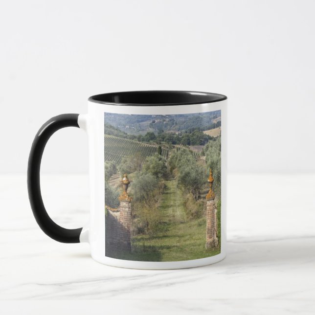 Vineyards, Tuscany, Italy Mug (Left)