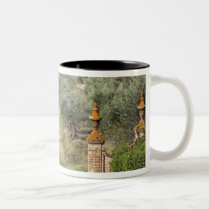 Vineyards, Tuscany, Italy Two-Tone Coffee Mug