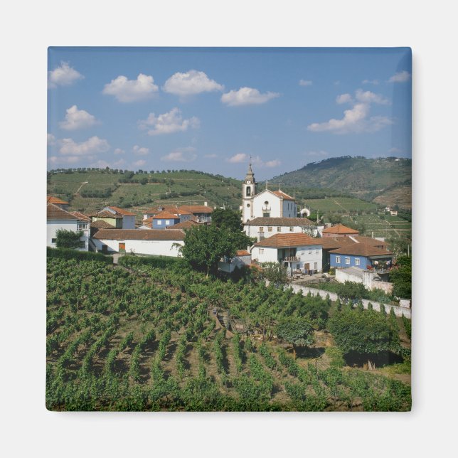 Vineyards, Village of San Miguel, Douro Magnet (Front)