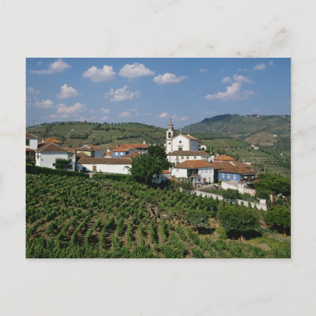 Vineyards, Village of San Miguel, Douro Postcard (Front)