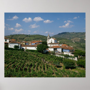 Vineyards, Village of San Miguel, Douro Poster
