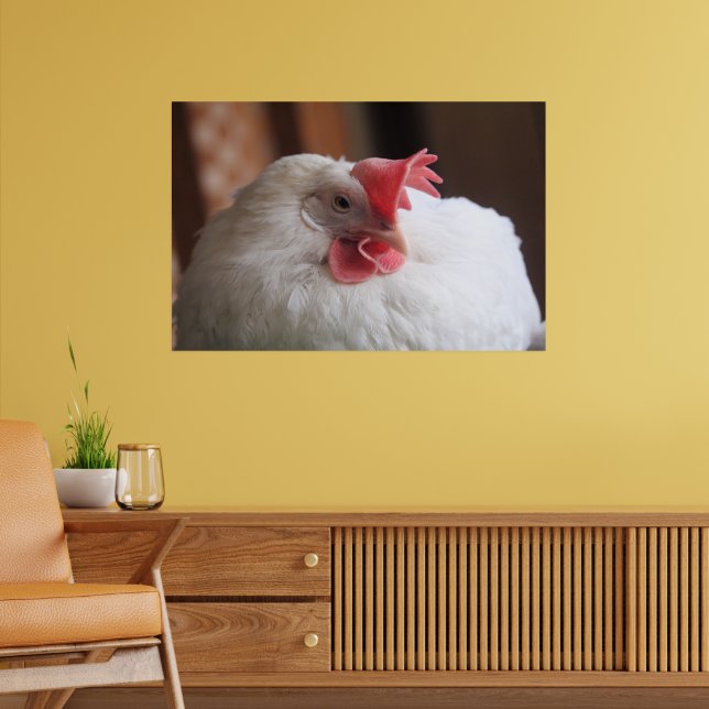 Vinnie  poster (Living Room 2)