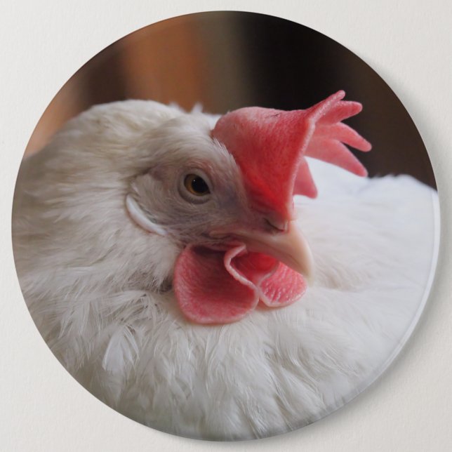 Vinny  6 cm round badge (Front)