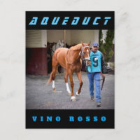 Vino Rosso - Paddock