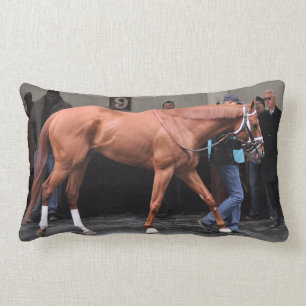 Vino Rosso - Todd Pletcher Lumbar Cushion
