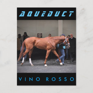Vino Rosso - Todd Pletcher Postcard