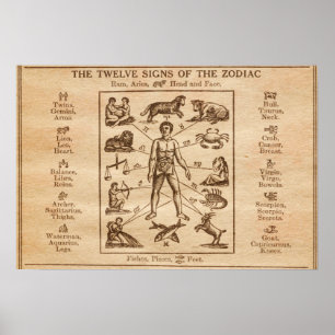 Vintage 12 Signs of the Zodiac