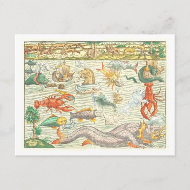 Vintage 1544 Sea Monsters Illustration Postcard (Front)