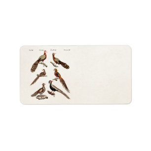 Vintage 1700s Pheasant Game Birds - Pheasant Bird Label
