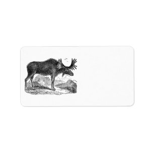 Vintage 1800s American Moose Illustration Template Label