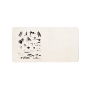 Vintage 1800s Angling Fly Fishing Flies Lures Lure Label