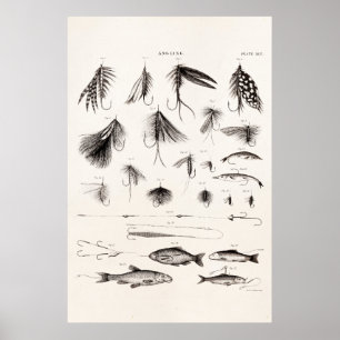 Vintage 1800s Angling Fly Fishing Flies Lures Lure Poster