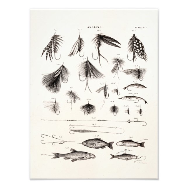 Vintage 1800s Angling Fly Fishing Flies Old Hooks Photo Print (Front)
