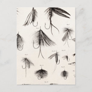 Vintage 1800s Angling Fly Fishing Flies Old Hooks Postcard