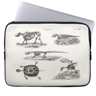 Vintage 1800s Animal Skeletons Antique Anatomy Laptop Sleeve