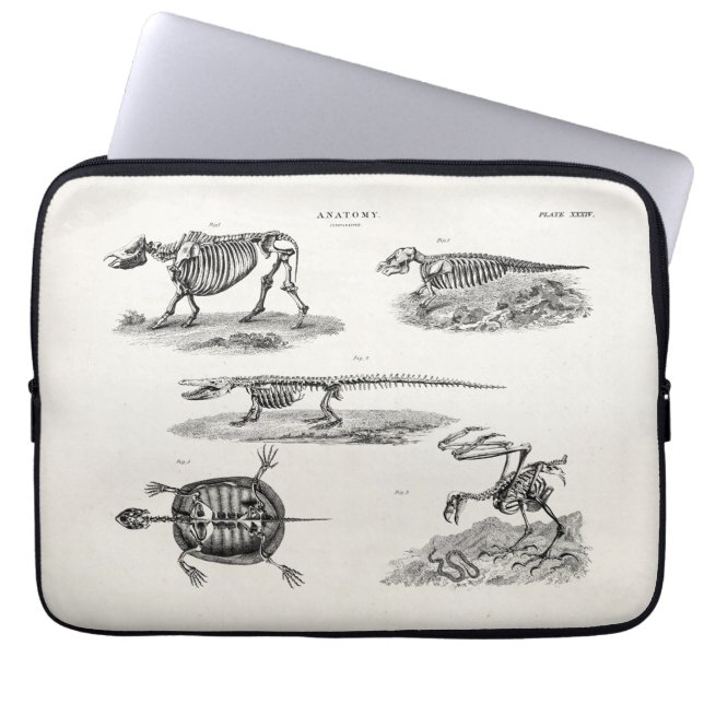 Vintage 1800s Animal Skeletons Antique Anatomy Laptop Sleeve (Front)