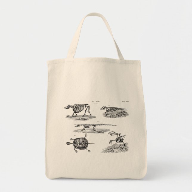 Vintage 1800s Animal Skeletons Antique Anatomy Tote Bag (Front)