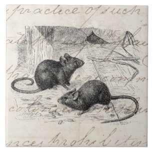 Vintage 1800s Barn Mouse Retro Mice Parchment Tile