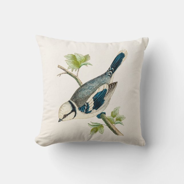 Vintage 1800s Blue Bird Songbird Birds Drawing Cushion (Front)