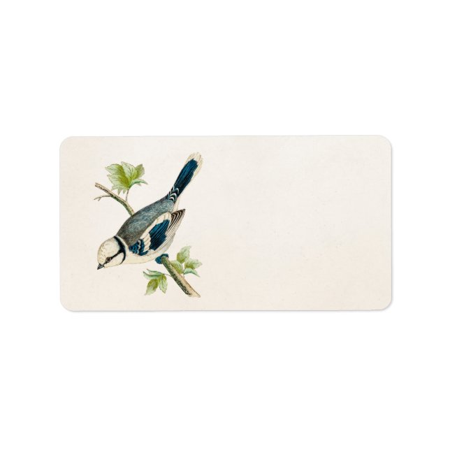 Vintage 1800s Blue Bird Songbird Birds Drawing Label (Front)