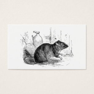 Vintage 1800s Brown Barn Rat Rats Illustration