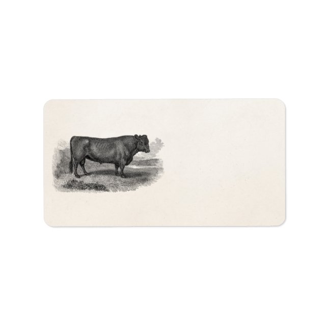Vintage 1800s Bull Illustration Retro Cow Bulls Label (Front)