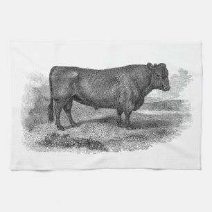 Vintage 1800s Bull Illustration Retro Cow Bulls Tea Towel