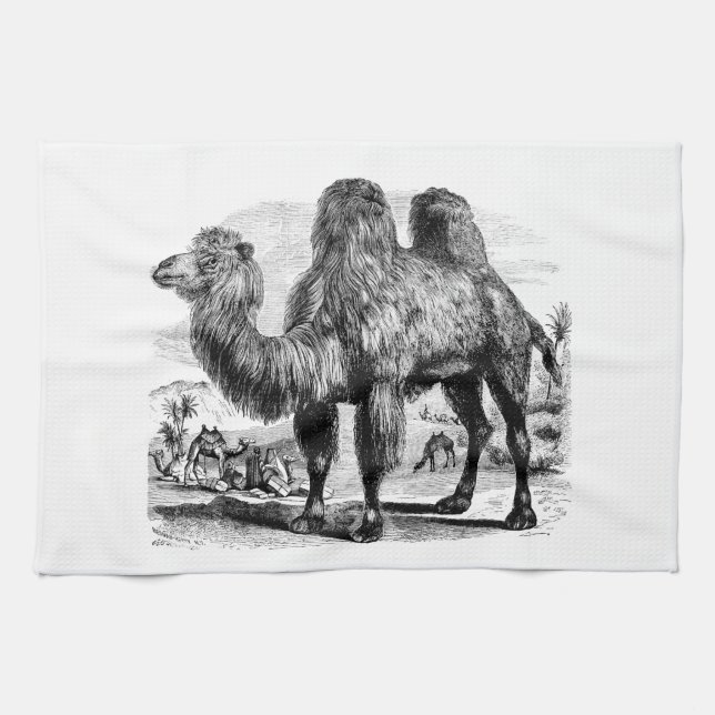 Vintage 1800s Camel -  Egyptian Camels Template Tea Towel (Horizontal)