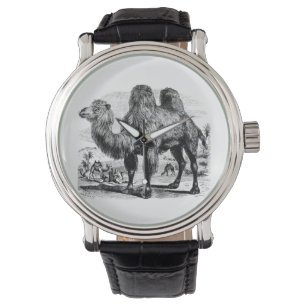 Vintage 1800s Camel - Egyptian Camels Template Watch