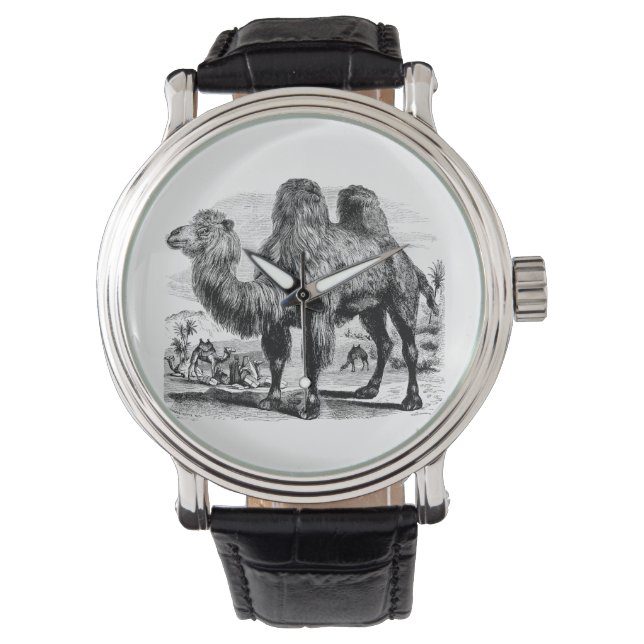 Vintage 1800s Camel - Egyptian Camels Template Watch (Front)