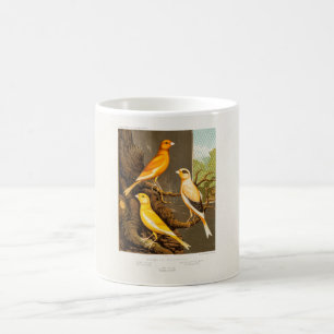 Vintage 1800s Canary Song Bird Template Canaries Coffee Mug