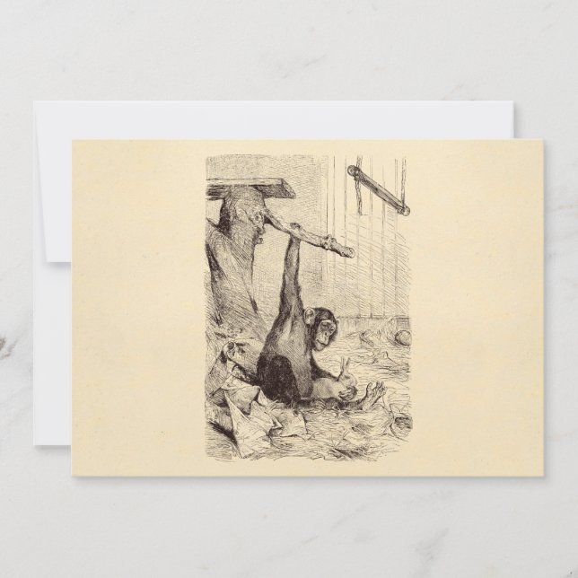 Vintage 1800s Chimpanzee Rabbit Monkey Bunny Chimp (Front)