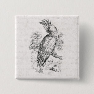 Vintage 1800s Cockatoo Parrot Bird Cockatiel Birds 15 Cm Square Badge