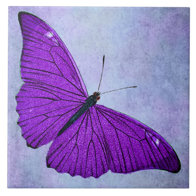 Vintage 1800s Dark Purple Butterfly Illustration Tile (Front)